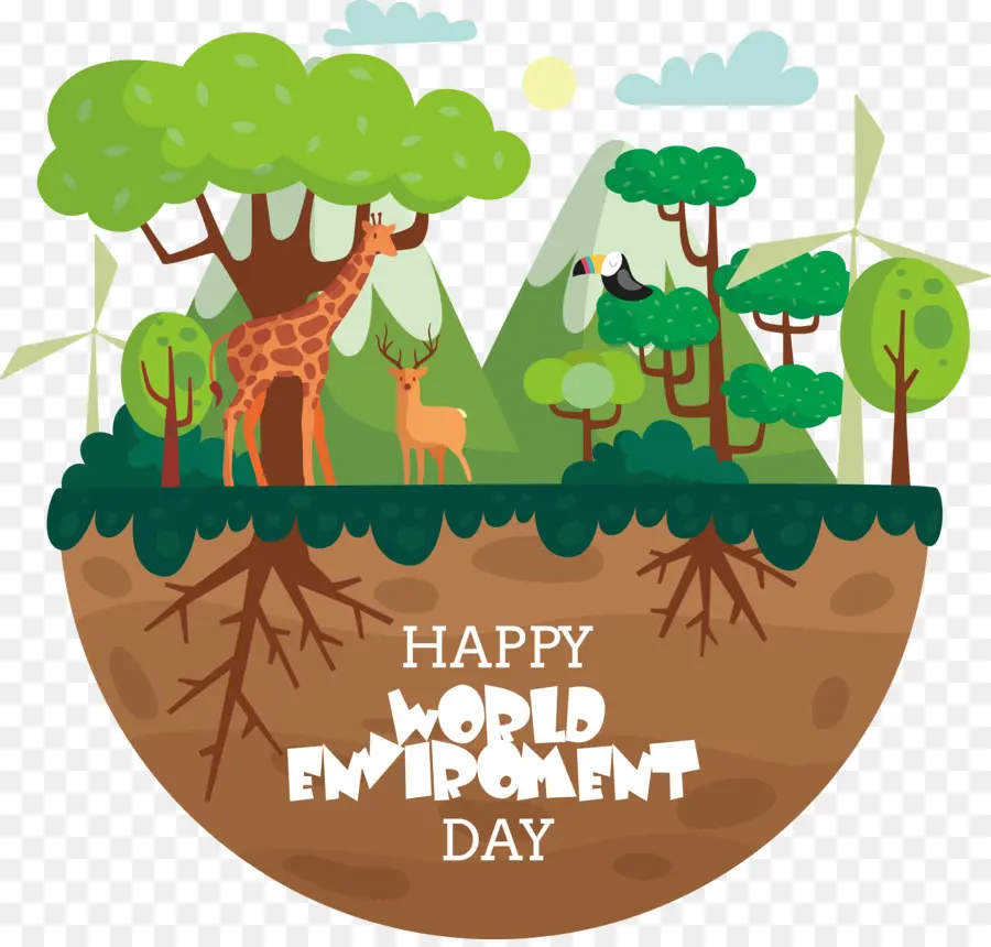 Dia Mundial Del Medio Ambiente，Bosque PNG