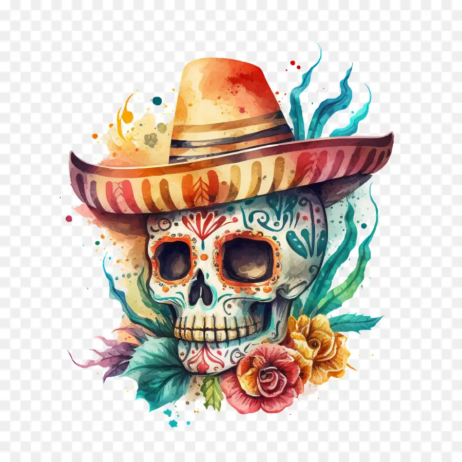 Cinco De Mayo，Calavera De Acuarela PNG