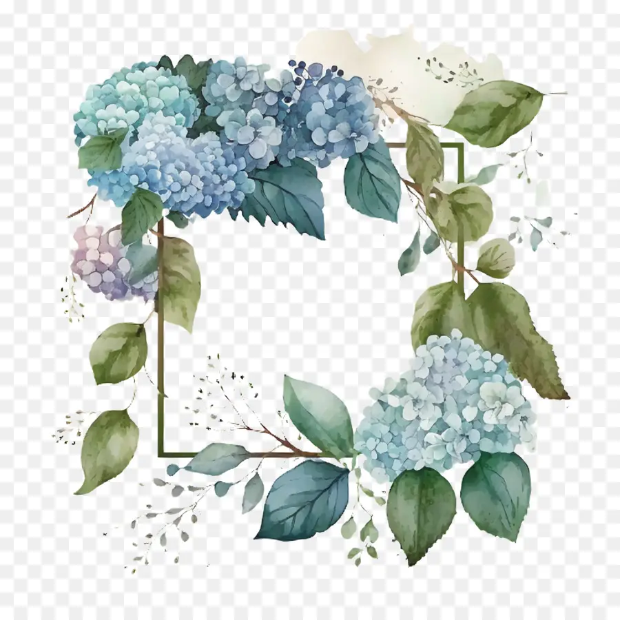 Acuarela Hortensia，Azul Hortensia PNG