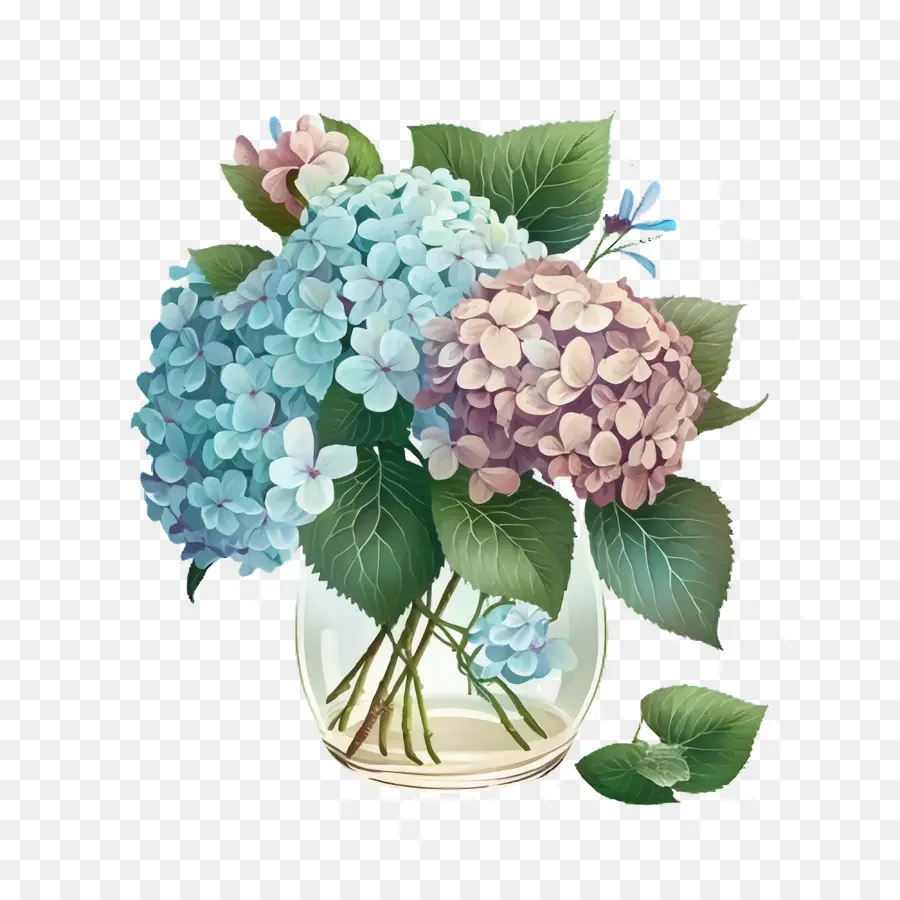 Hortensias，Ramo De Hortensias PNG