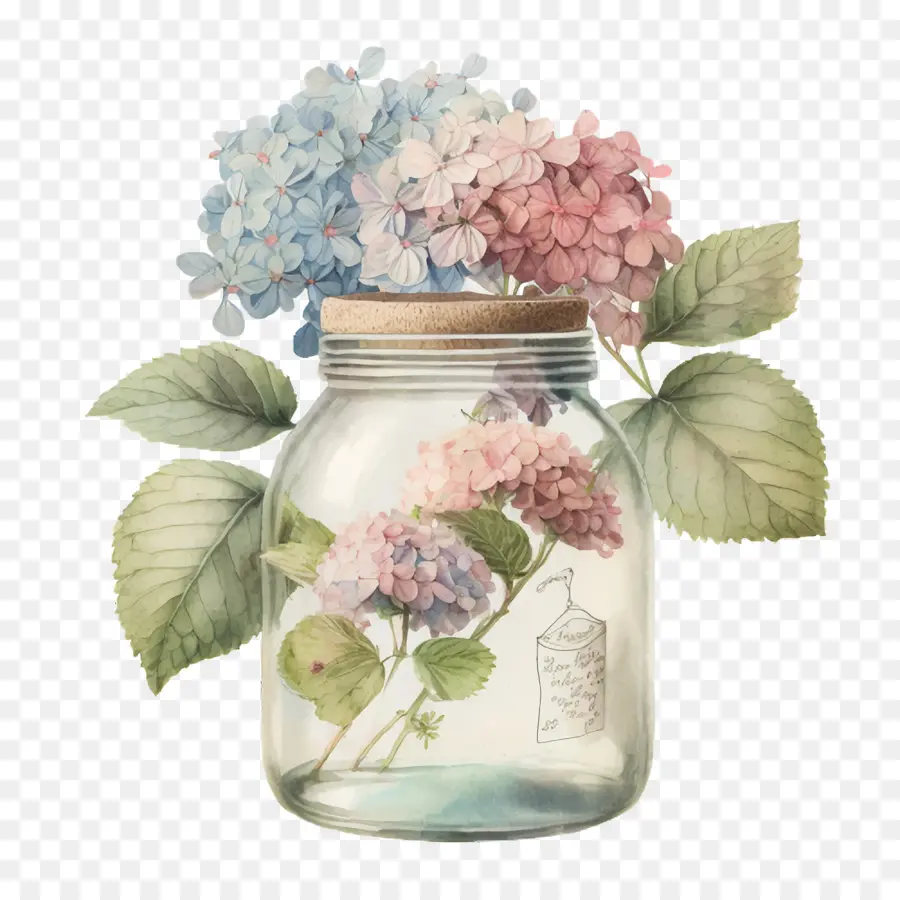 Hortensia De Acuarela，Frasco De Vidrio PNG