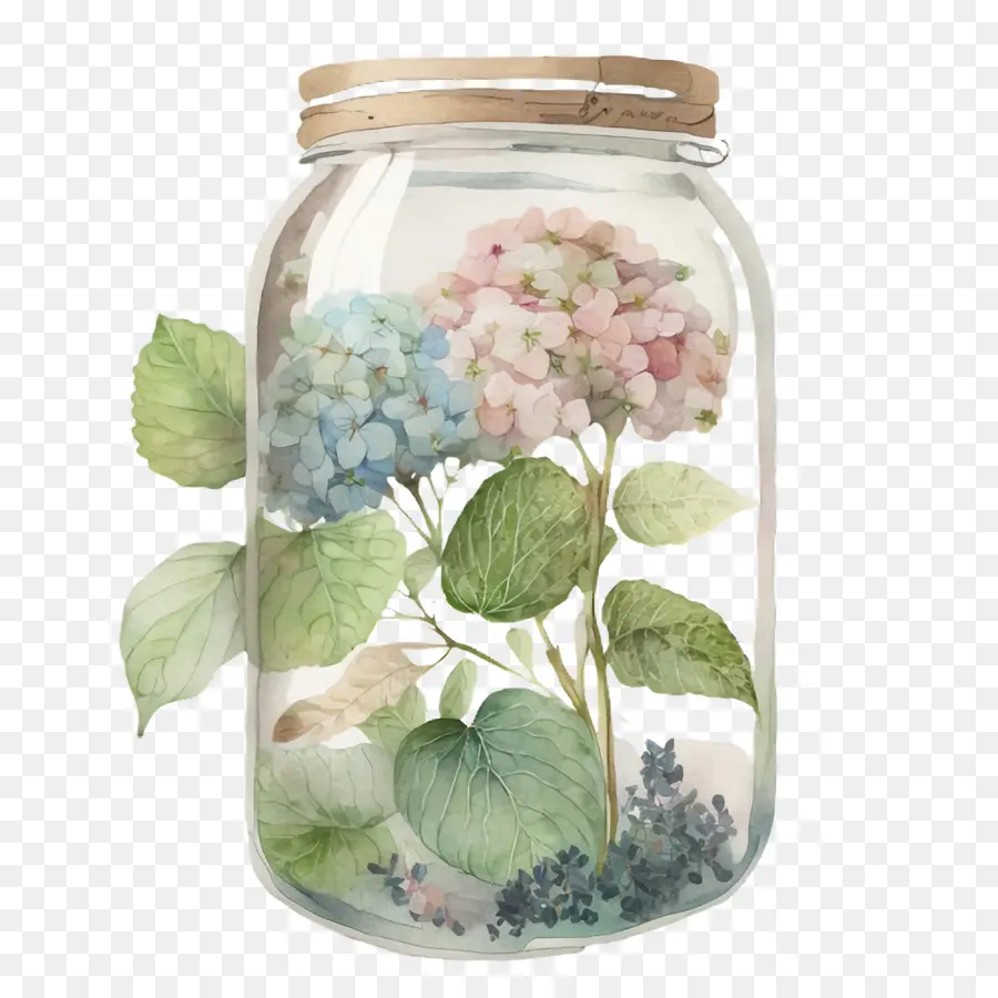 Hortensia De Acuarela，Frasco De Vidrio PNG