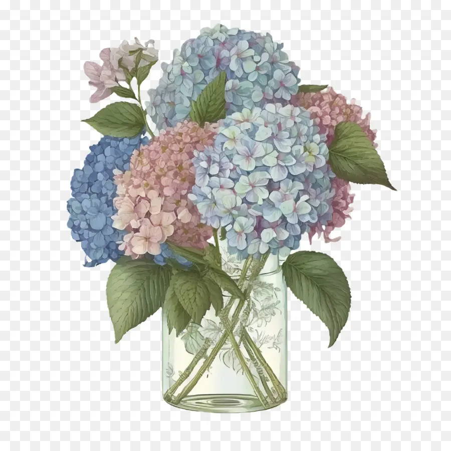 Hortensias，Florero PNG