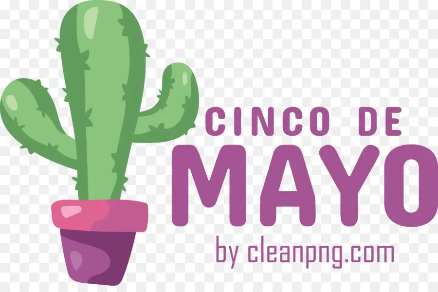 Cinco De Mayo，Celebración PNG