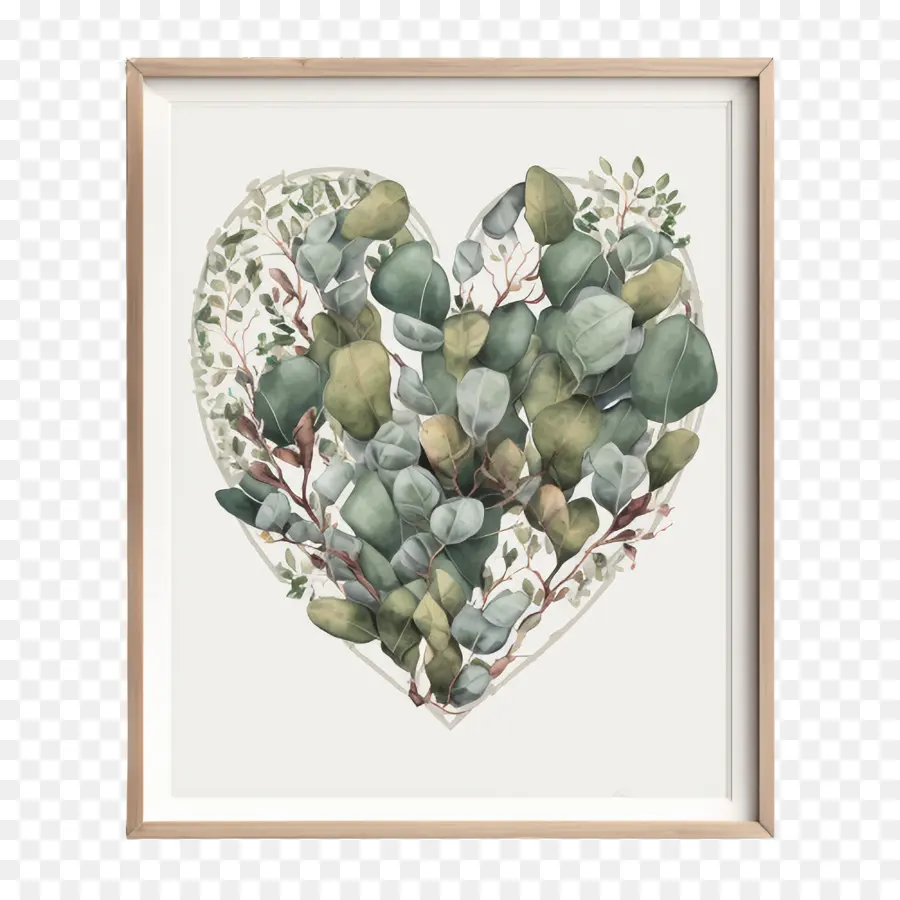 Corazón Eucalyptus，Eucalipto Marco PNG