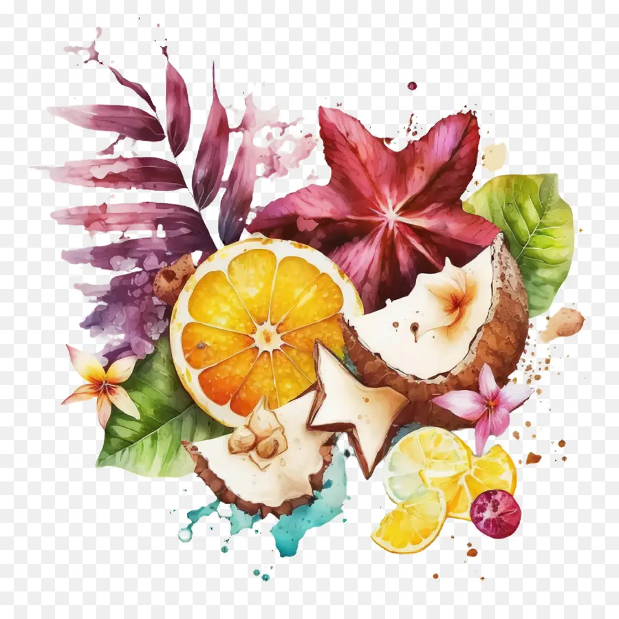 Acuarela De Coco，Medio Coco PNG