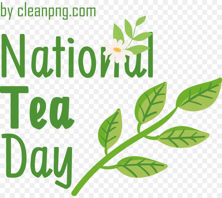 Nacional Del Té De Día，Día De Té PNG