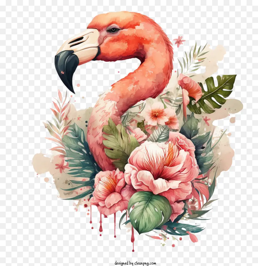 Flamingo，Flores PNG