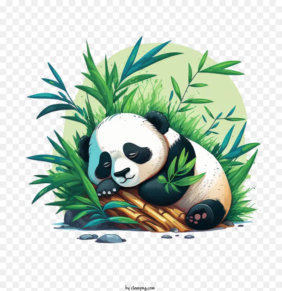 Lindo Panda，Panda Durmiendo PNG