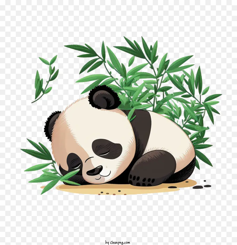 Lindo Panda，Panda Durmiendo PNG