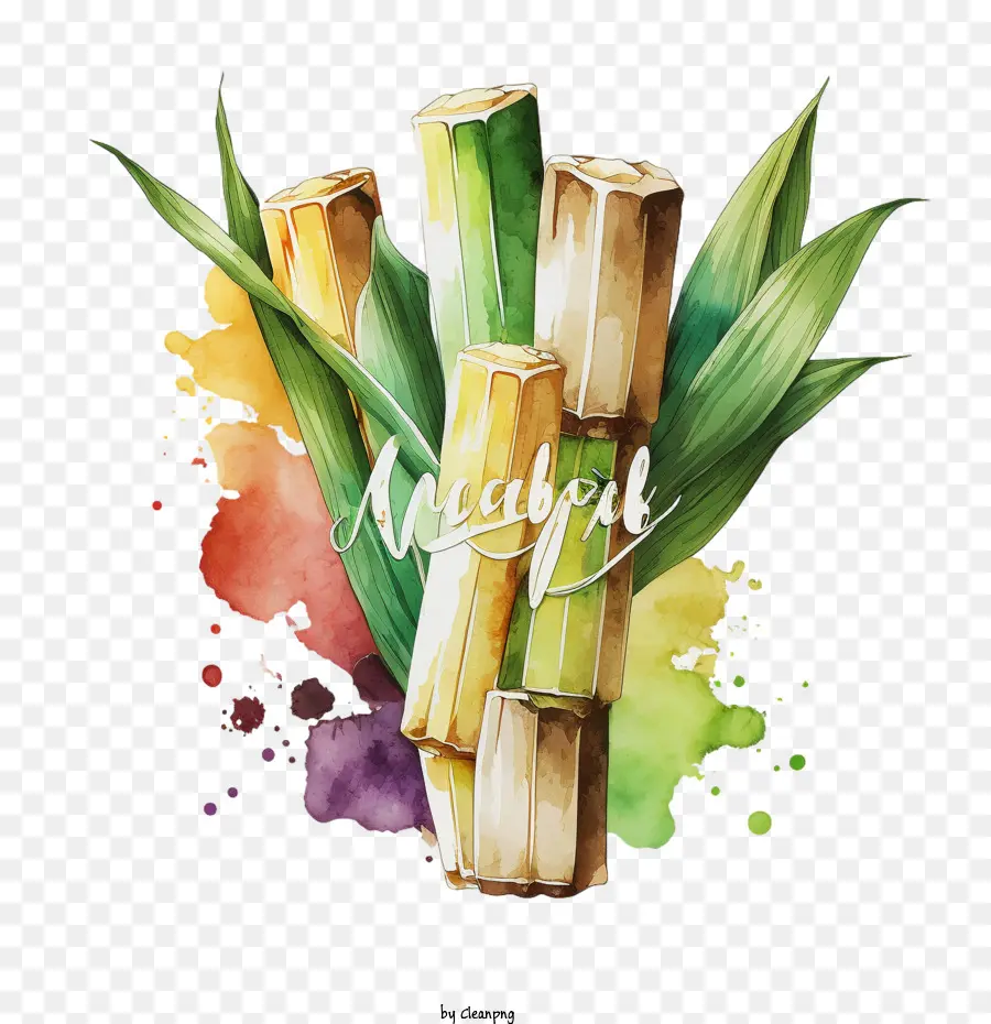 Sugarcane，Caña De Azúcar De Acuarela PNG