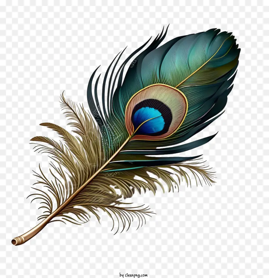 Pluma 3d，Pluma De Pavo Real PNG