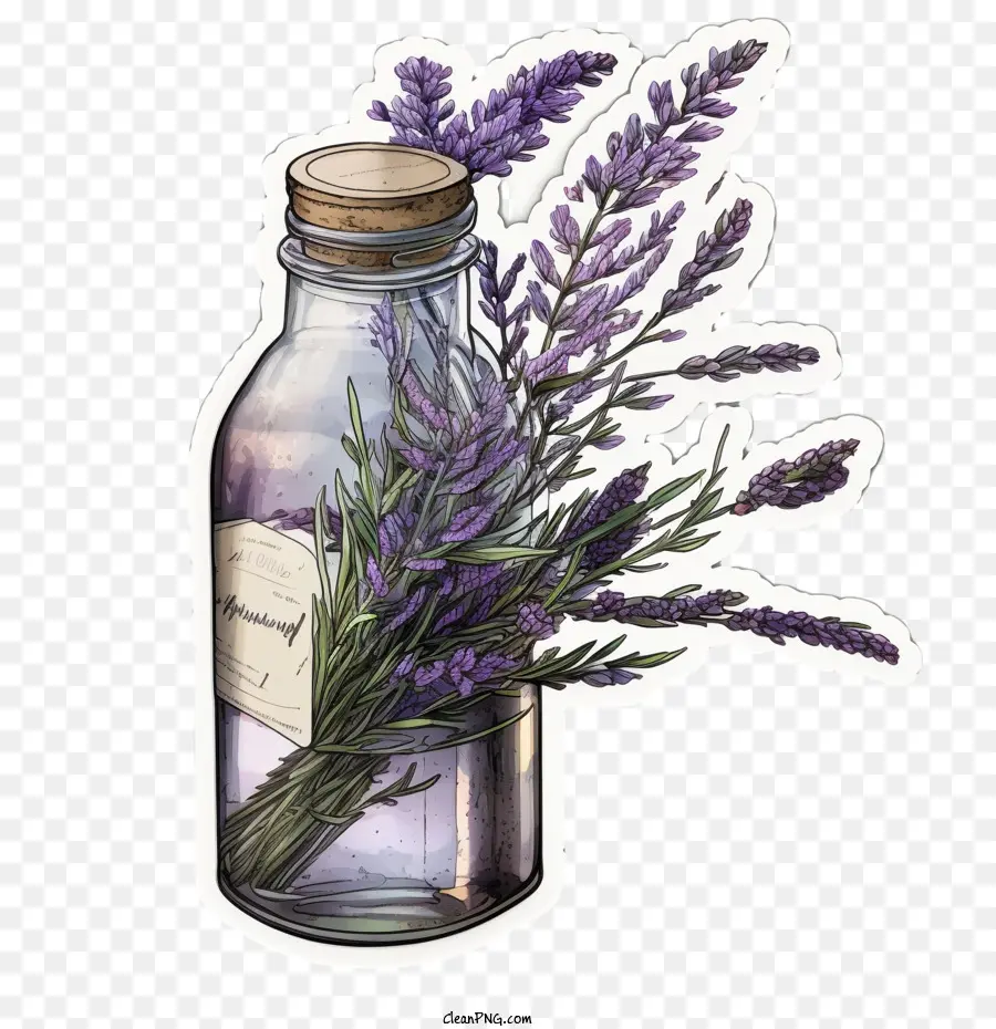 Lavanda，Lavanda En Una Botella De Vidrio PNG