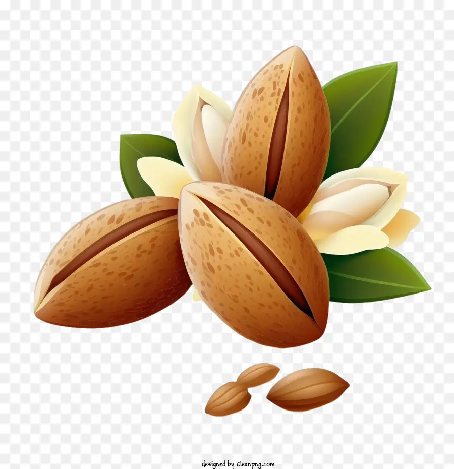 Almendras Lindas，Almendras Planas PNG