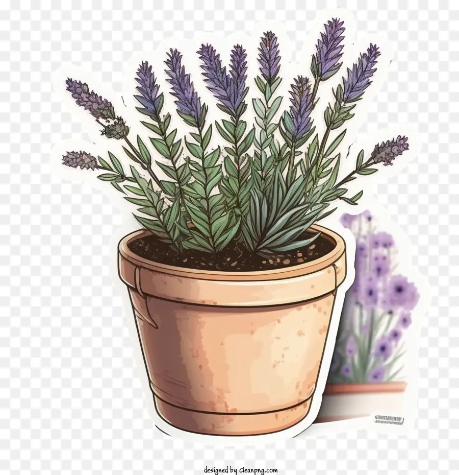 Lavanda Floreciente，Linda Lavanda PNG