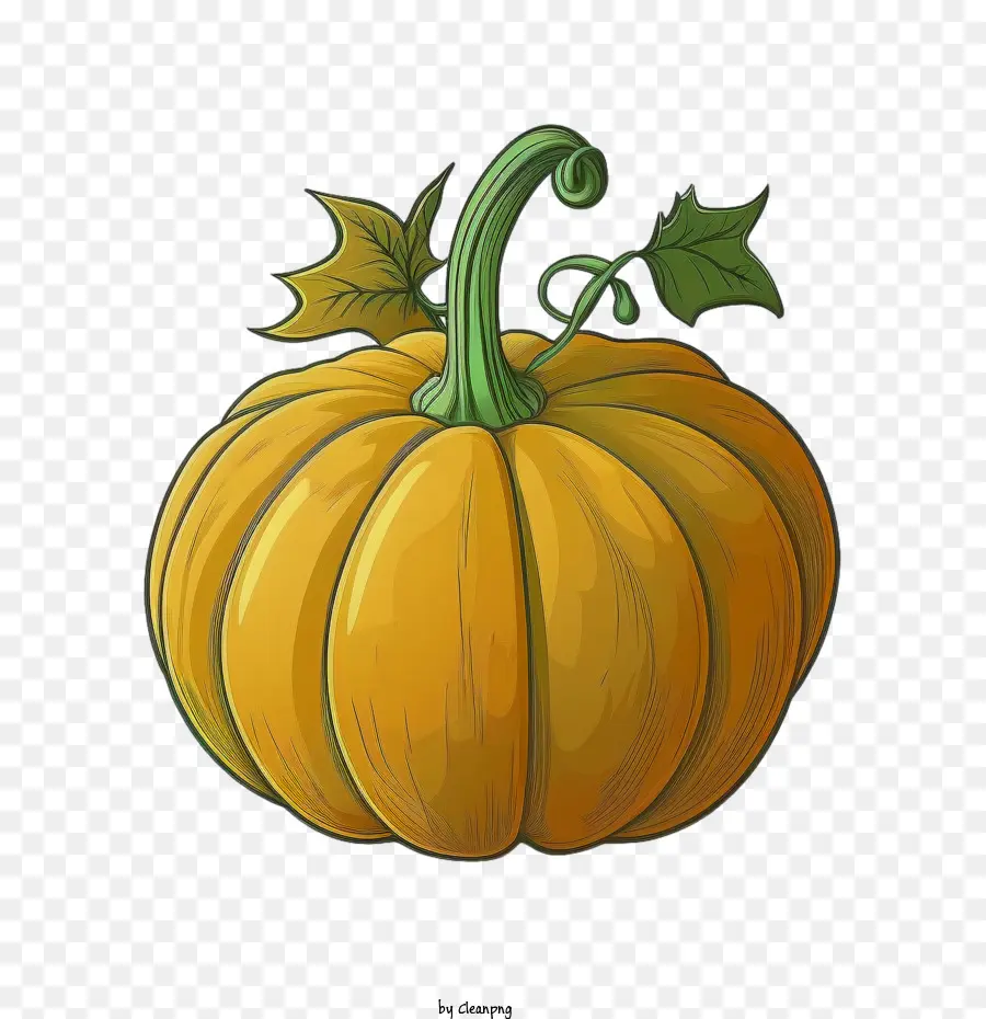 Otoño De Calabaza，Calabaza Simple PNG