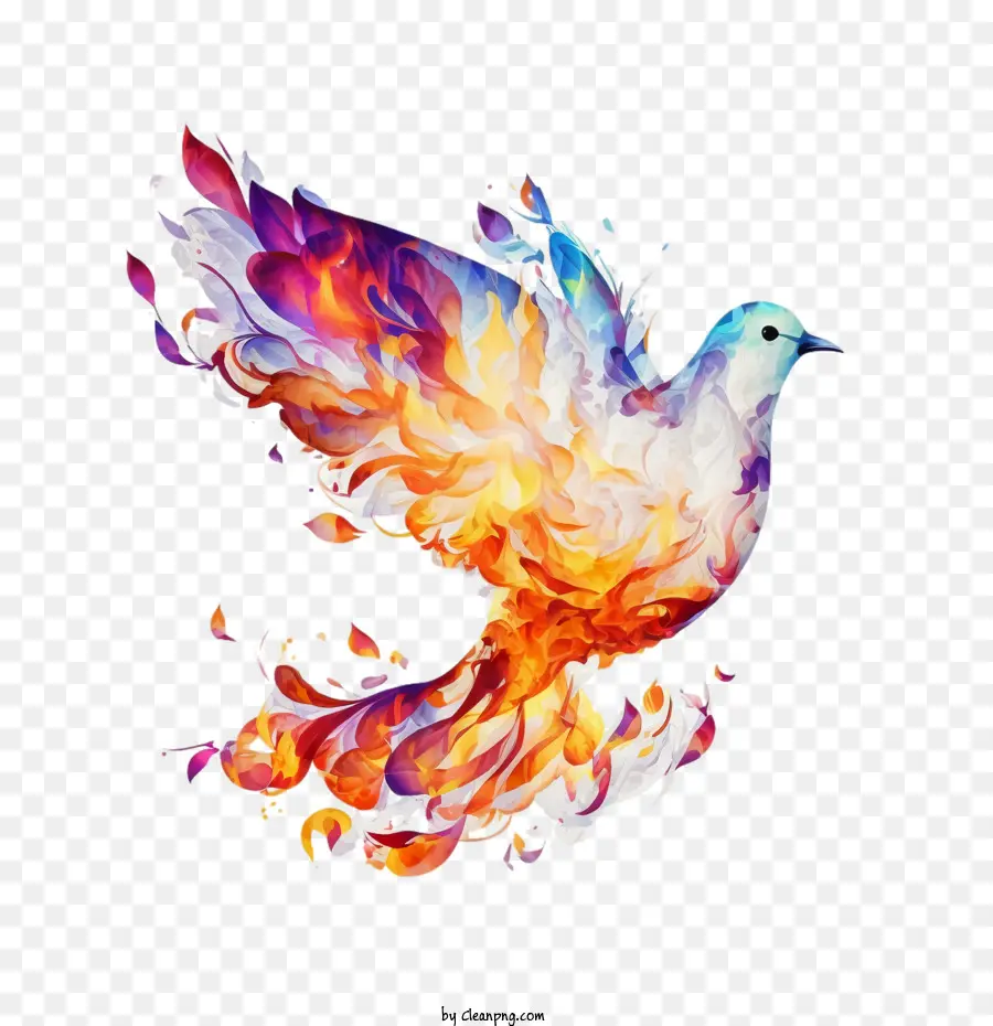 Burning Dove，Paloma Con Fuego PNG