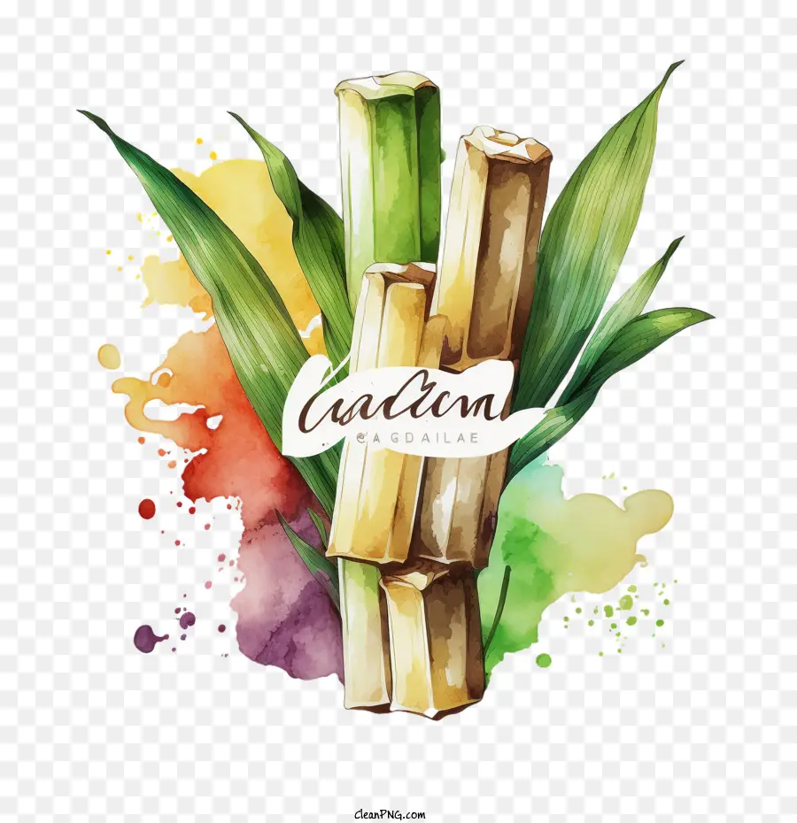 Sugarcane，Caña De Azúcar De Acuarela PNG