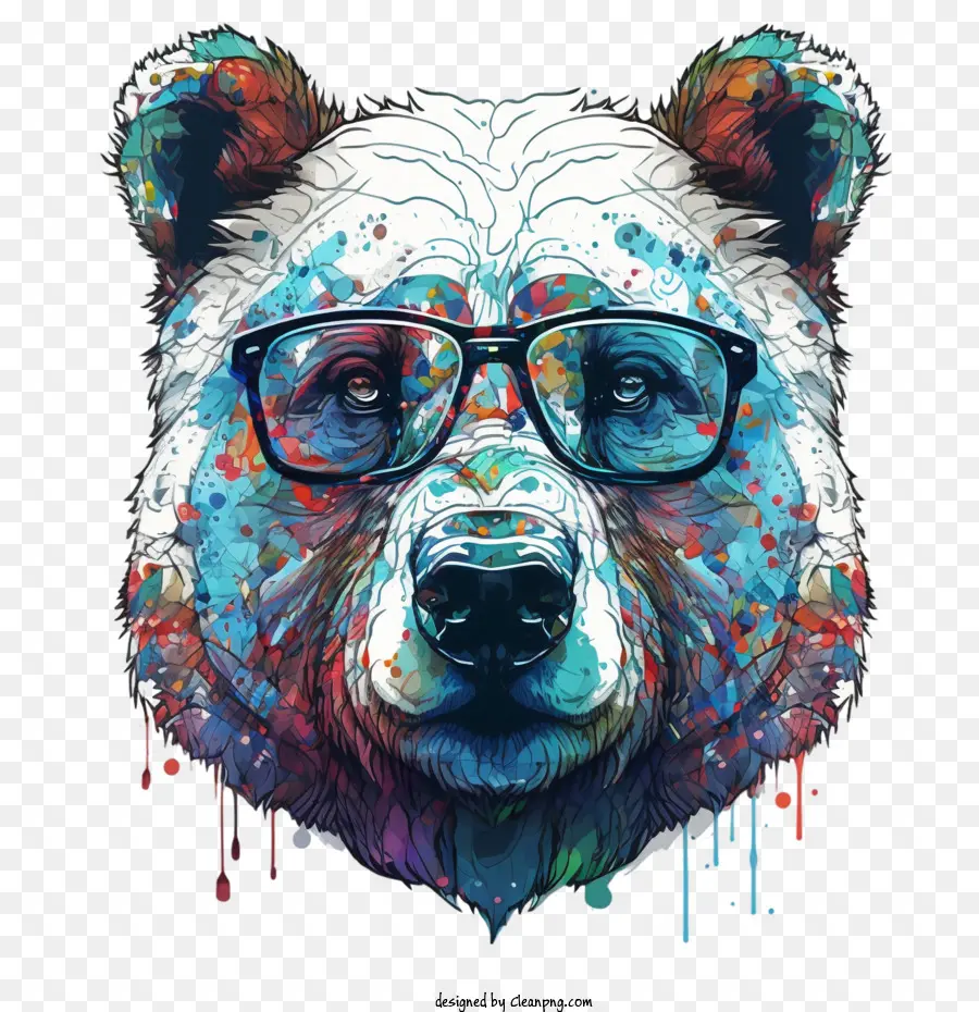 Oso Genial，Oso PNG