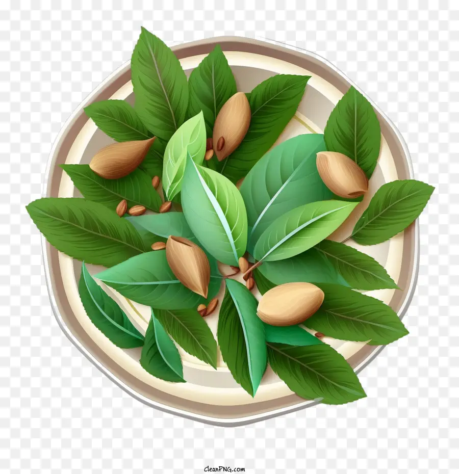 Almendras，Hojas PNG