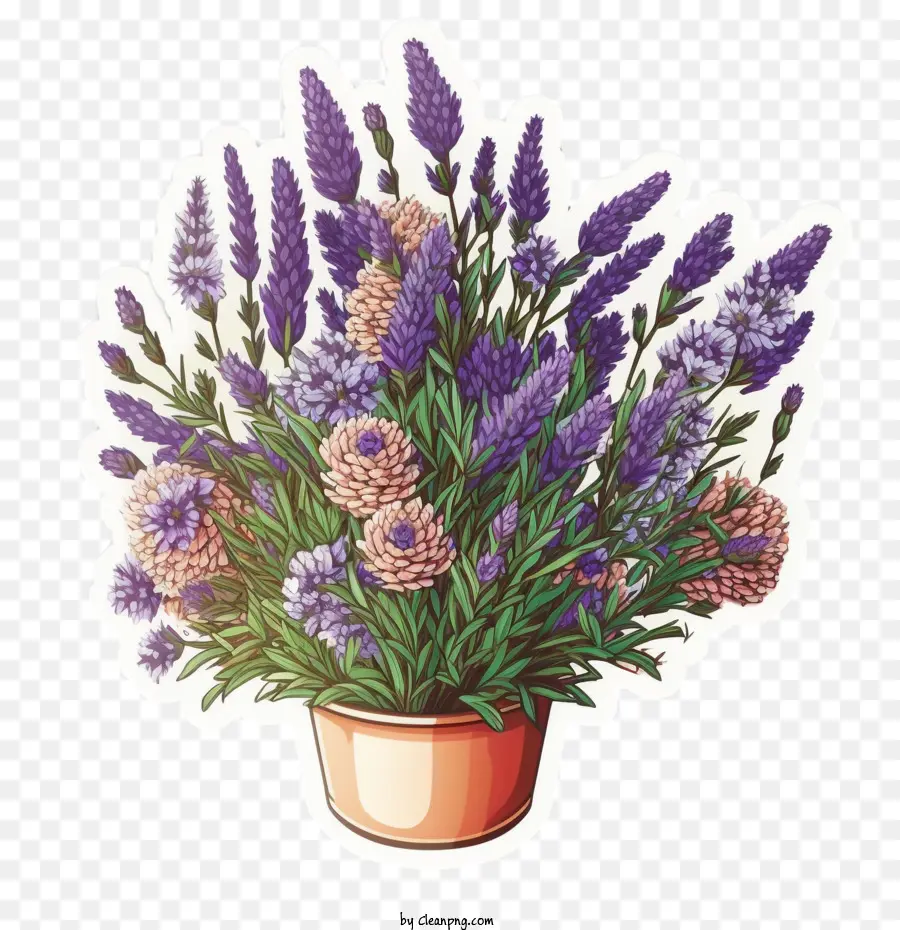 Linda Lavanda，Lavanda En Maceta PNG