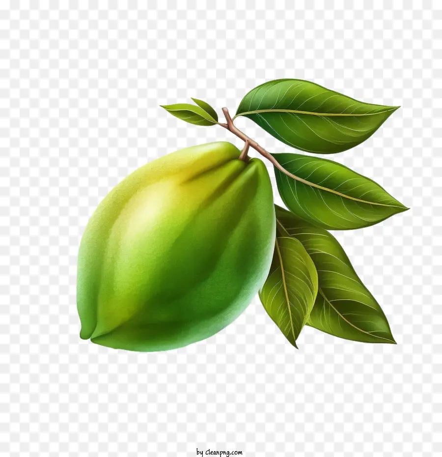 Mango，El Mango Verde PNG