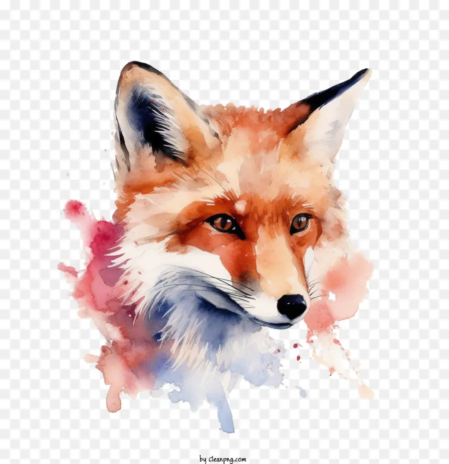 Fox，Acuarela Fox PNG