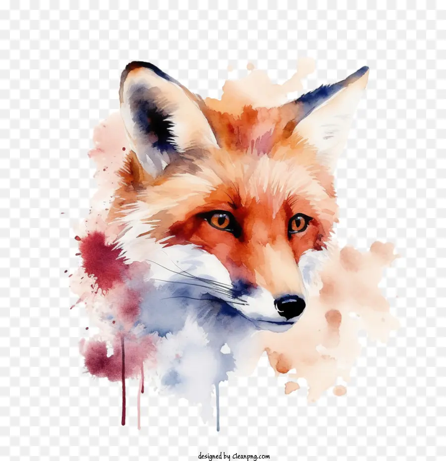 Fox，Acuarela Fox PNG