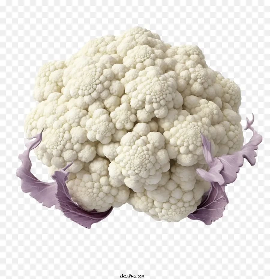 Coliflor 3d，Coliflor PNG