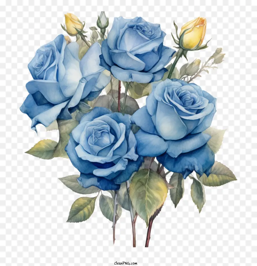 Rosa Azul Acuarela，Rosa Azul PNG