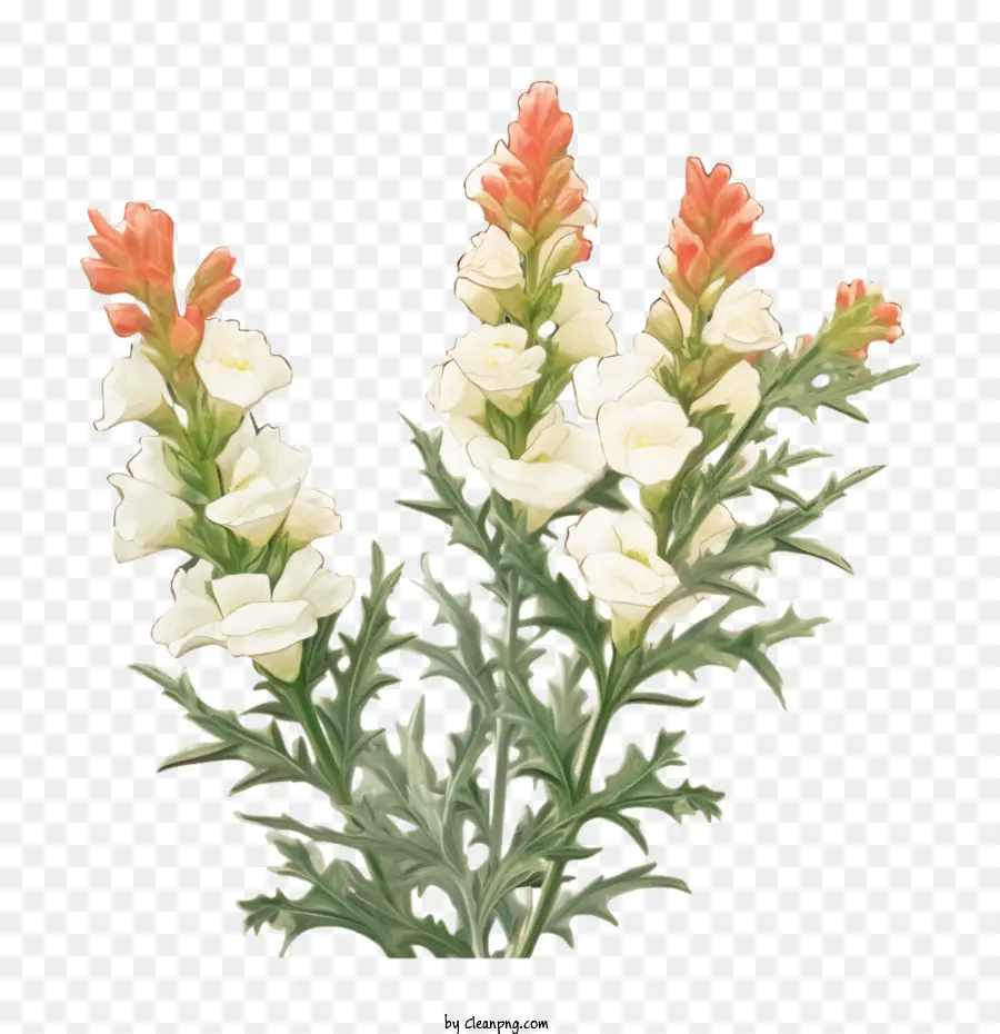 Snapdragon，Snapdragon Plano PNG