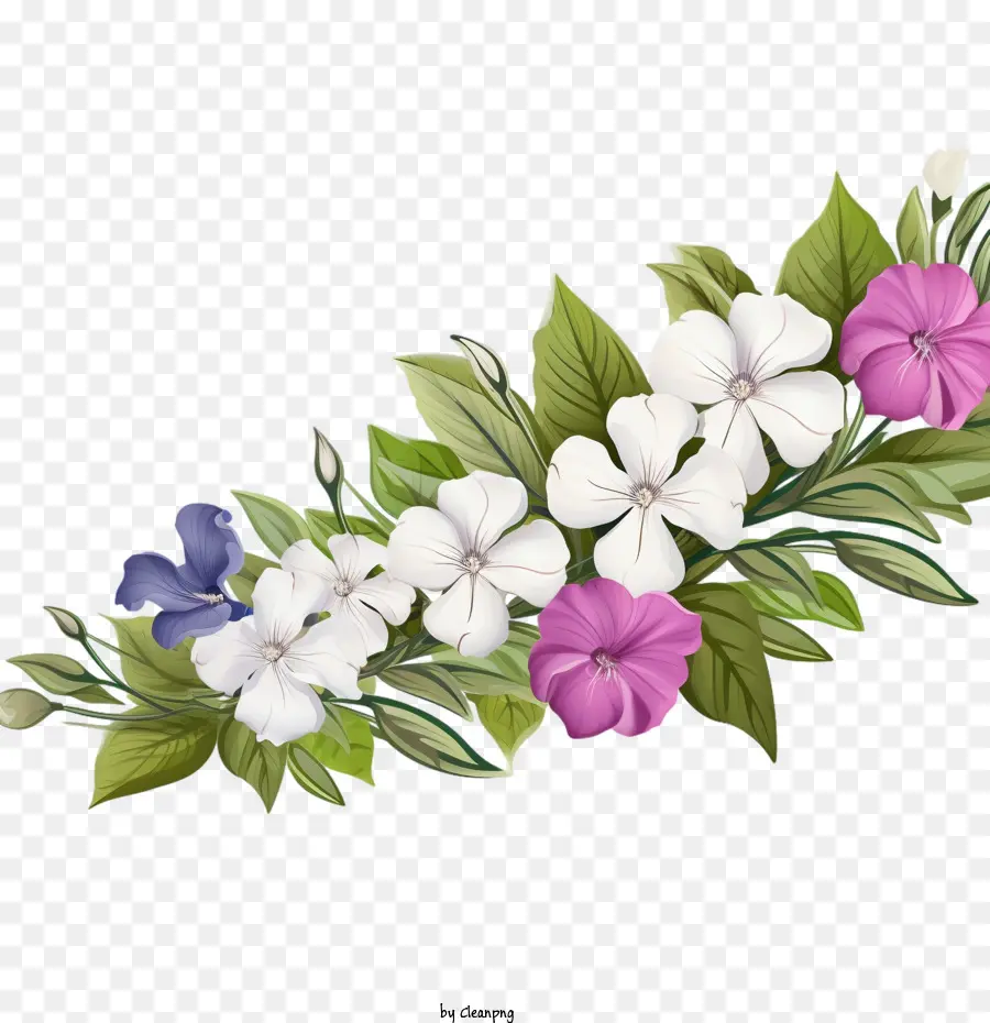 Vinca Flor，Las Rosas PNG