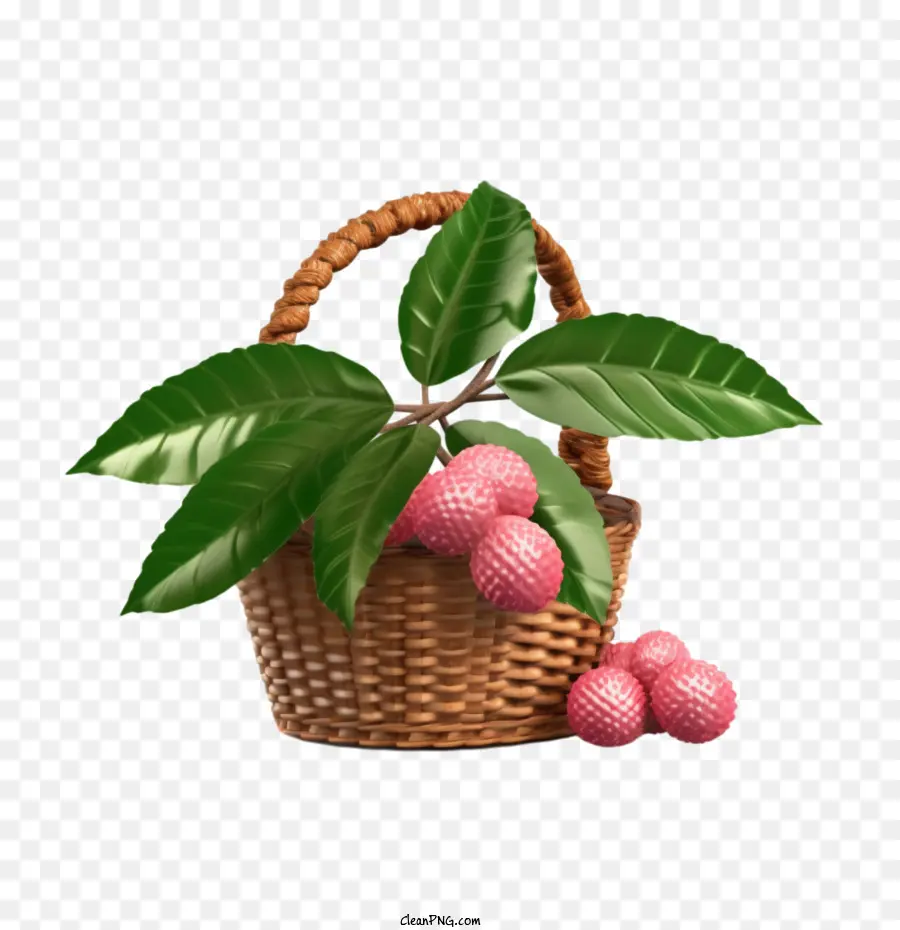 Lichi，Lychee Fruit PNG