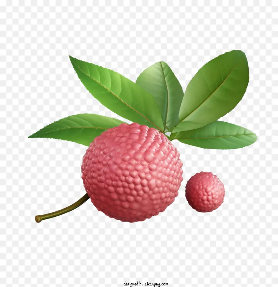 Lichi，Lychee Fruit PNG