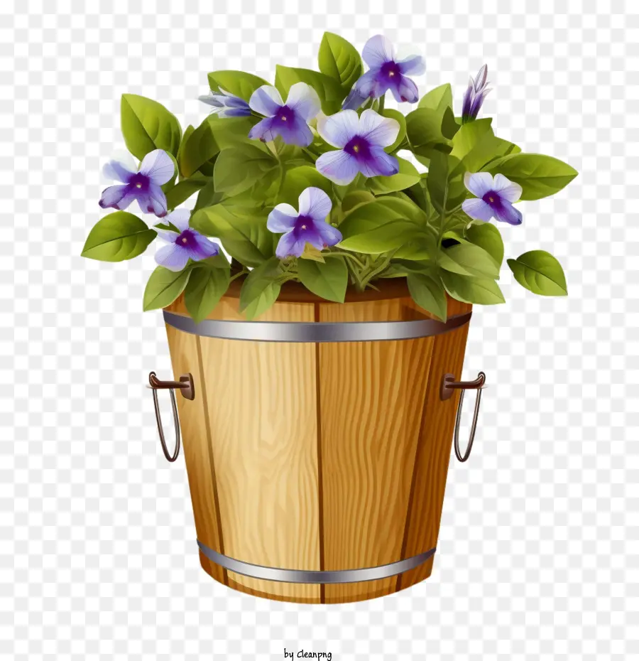 Vinca Flor，Flor De Vinca En Cubo PNG