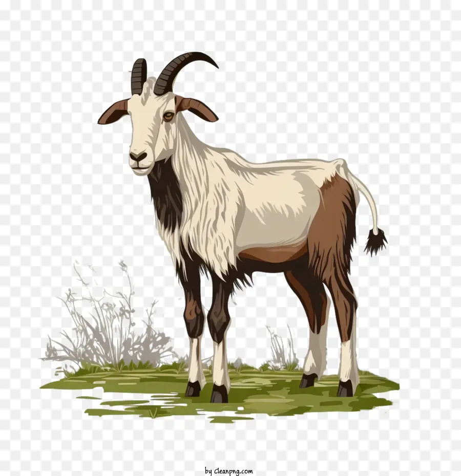 De Los Animales De Granja，Cabra PNG