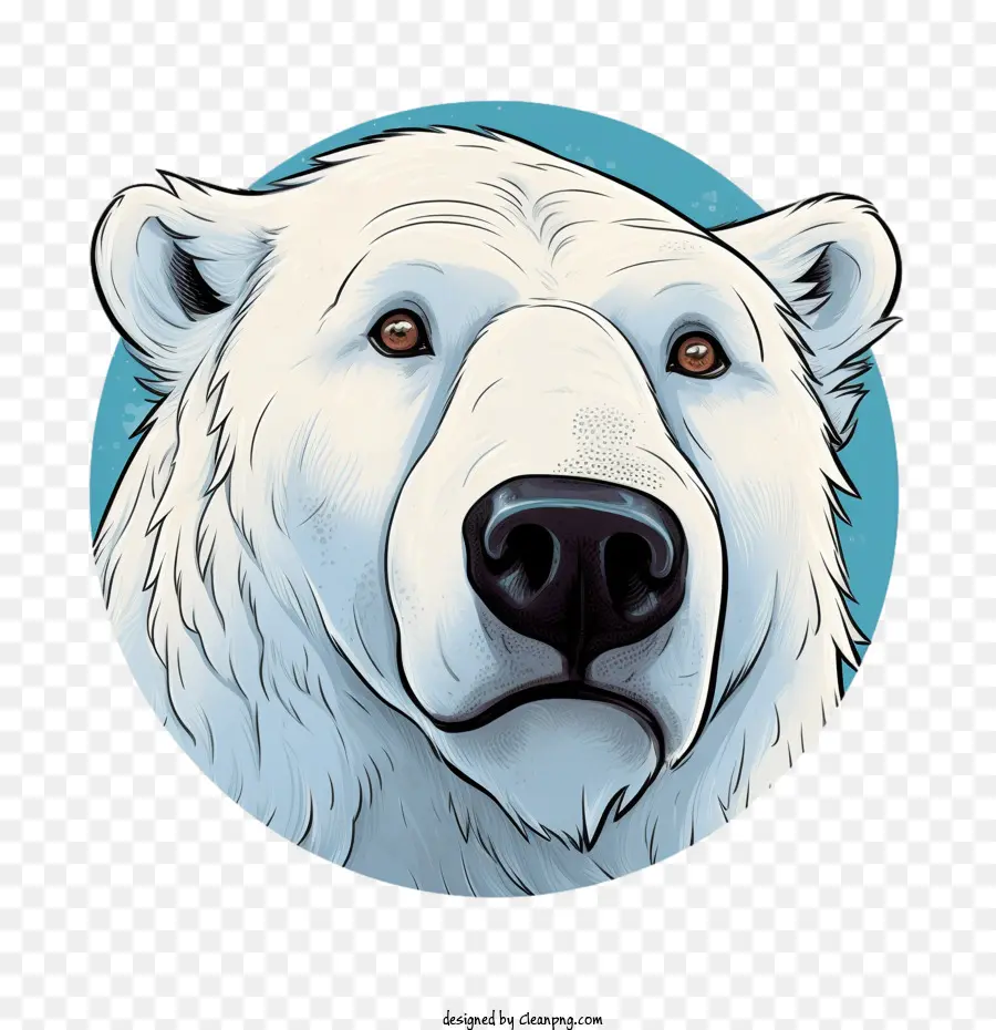 Oso Polar，Oso PNG