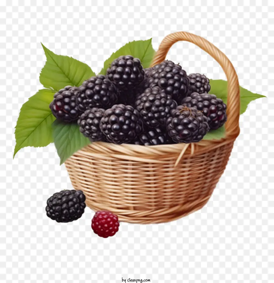 Blackberry，Blackberry Fruta PNG