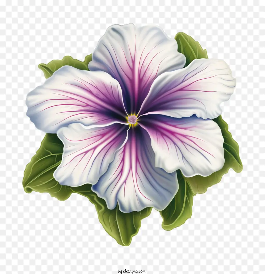 Flor De Petunia，Flor PNG