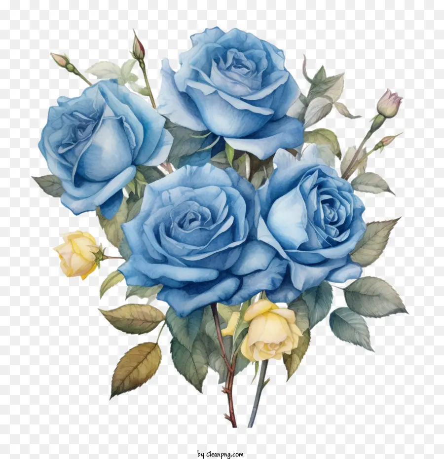 Rosa，Rosa Azul PNG