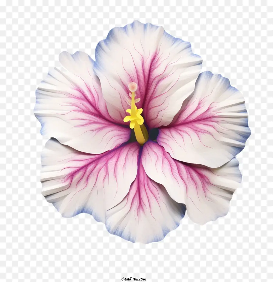 Flor De Petunia，Paper Art Petunia Flower PNG