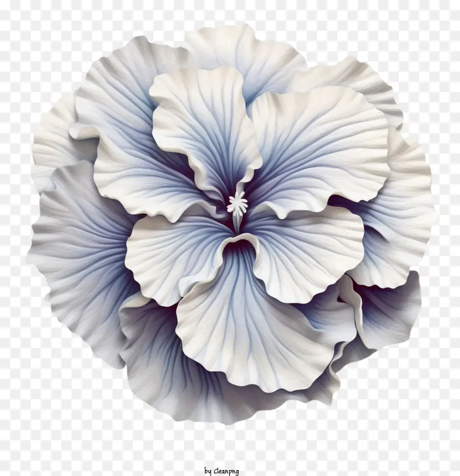 Flor De Petunia，Paper Art Petunia Flower PNG