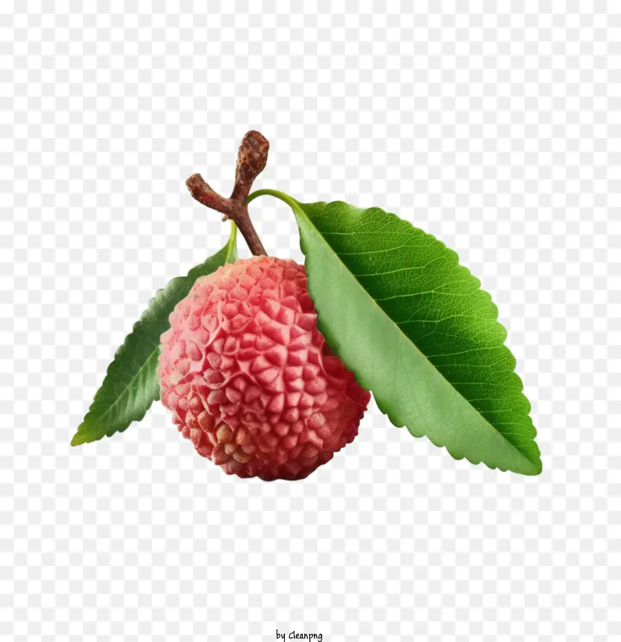 Lichi，Lychee Fruit PNG