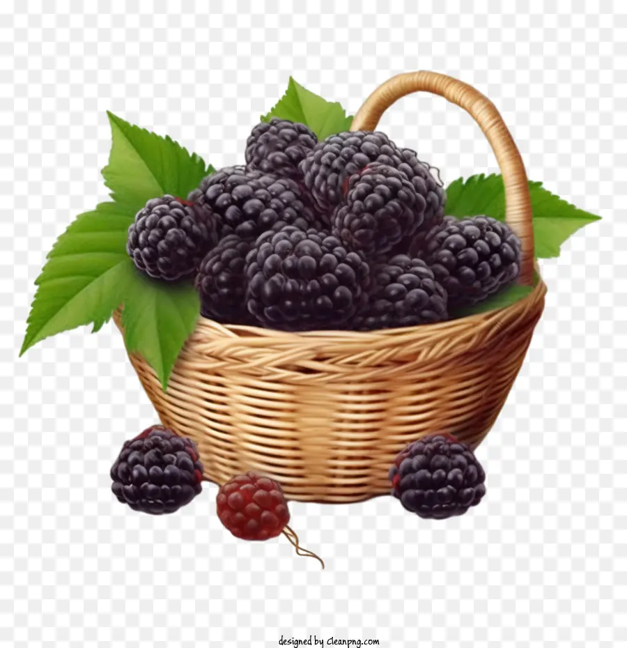 Blackberry，La Fruta PNG