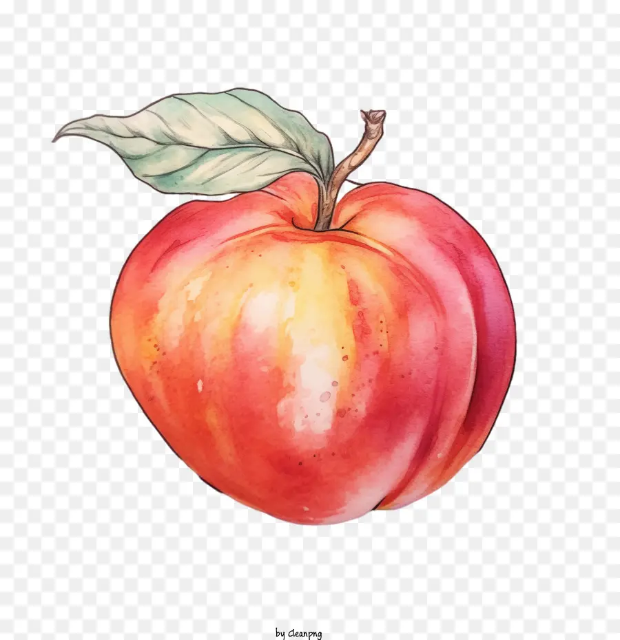 Melocotón，Apple PNG