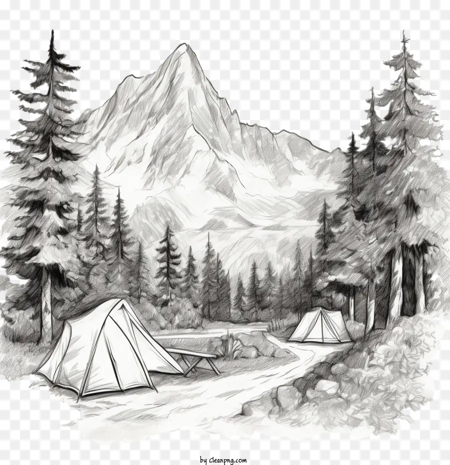 Camping，Naturaleza PNG