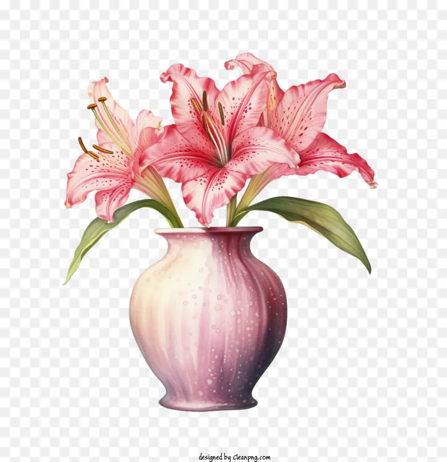 Flor De Lirio，Flor De Lirio Rosa PNG