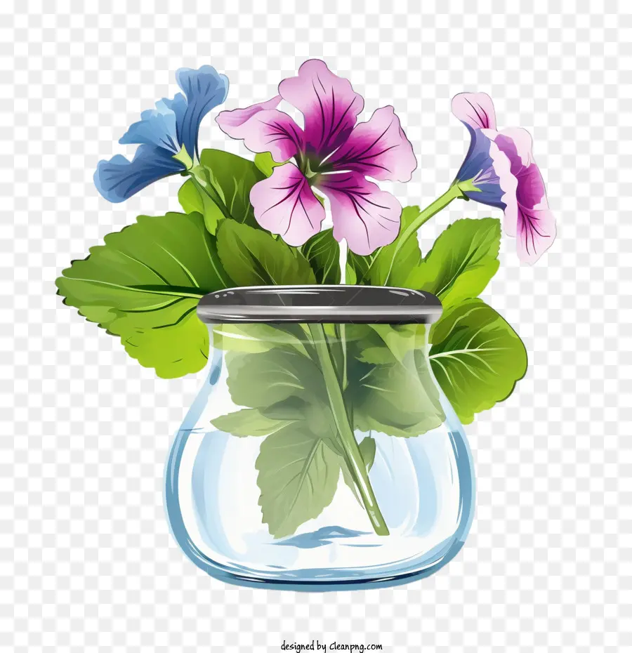 Flor De Petunia，Florero PNG