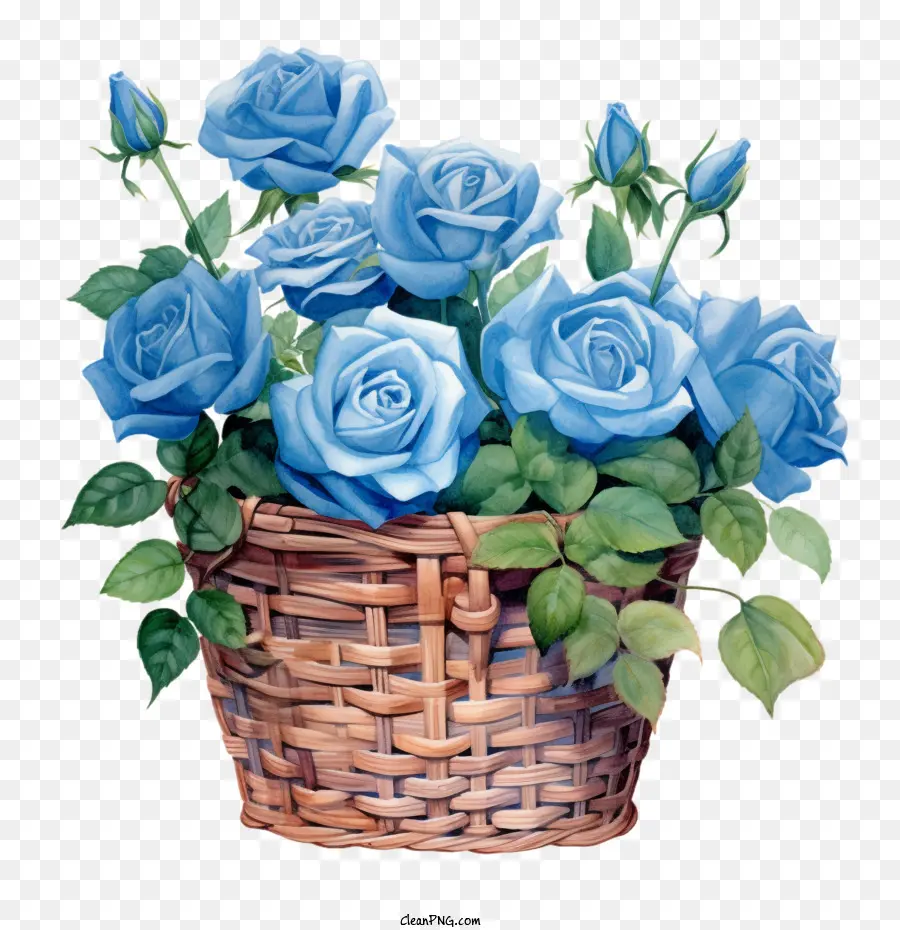 Rosa Azul，Rosas Azules PNG