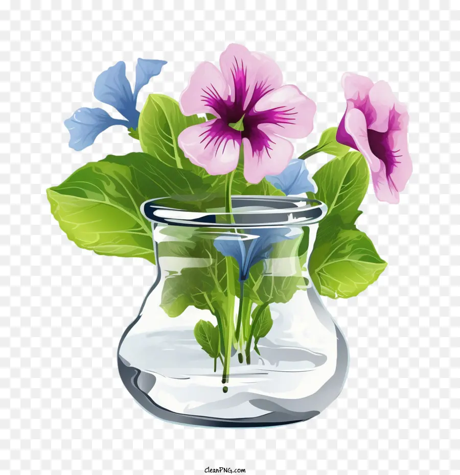 Flor De Petunia，Flores En Jarrón De Vidrio PNG